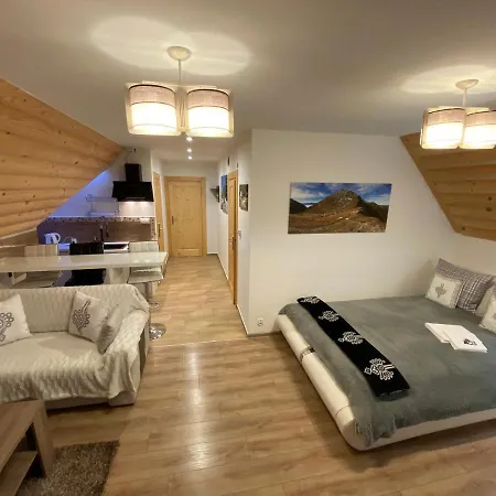 Apartment Na Przelaj - Lux - Zewnetrzna Sauna Finska I Zewnetrzne Gorace Jacuzzi - Caly Rok! Poronin